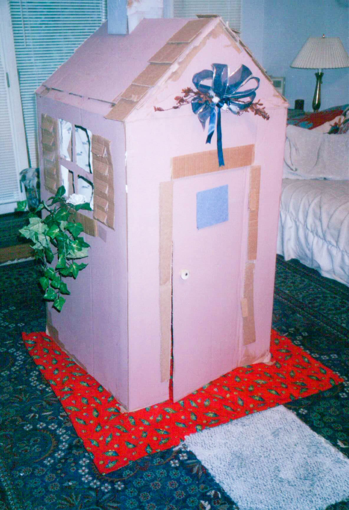 cardboard house box