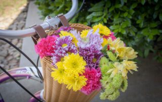 A Basketful of Joy