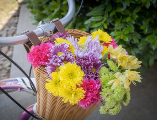 Spring at A Basketful of Joy