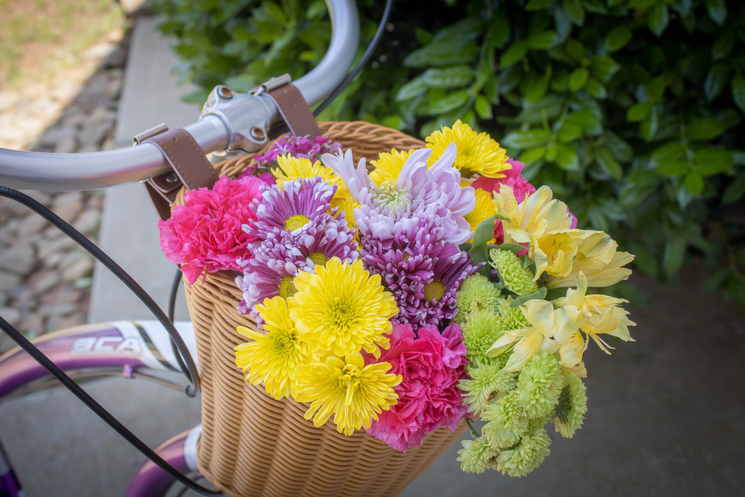 A Basketful of Joy