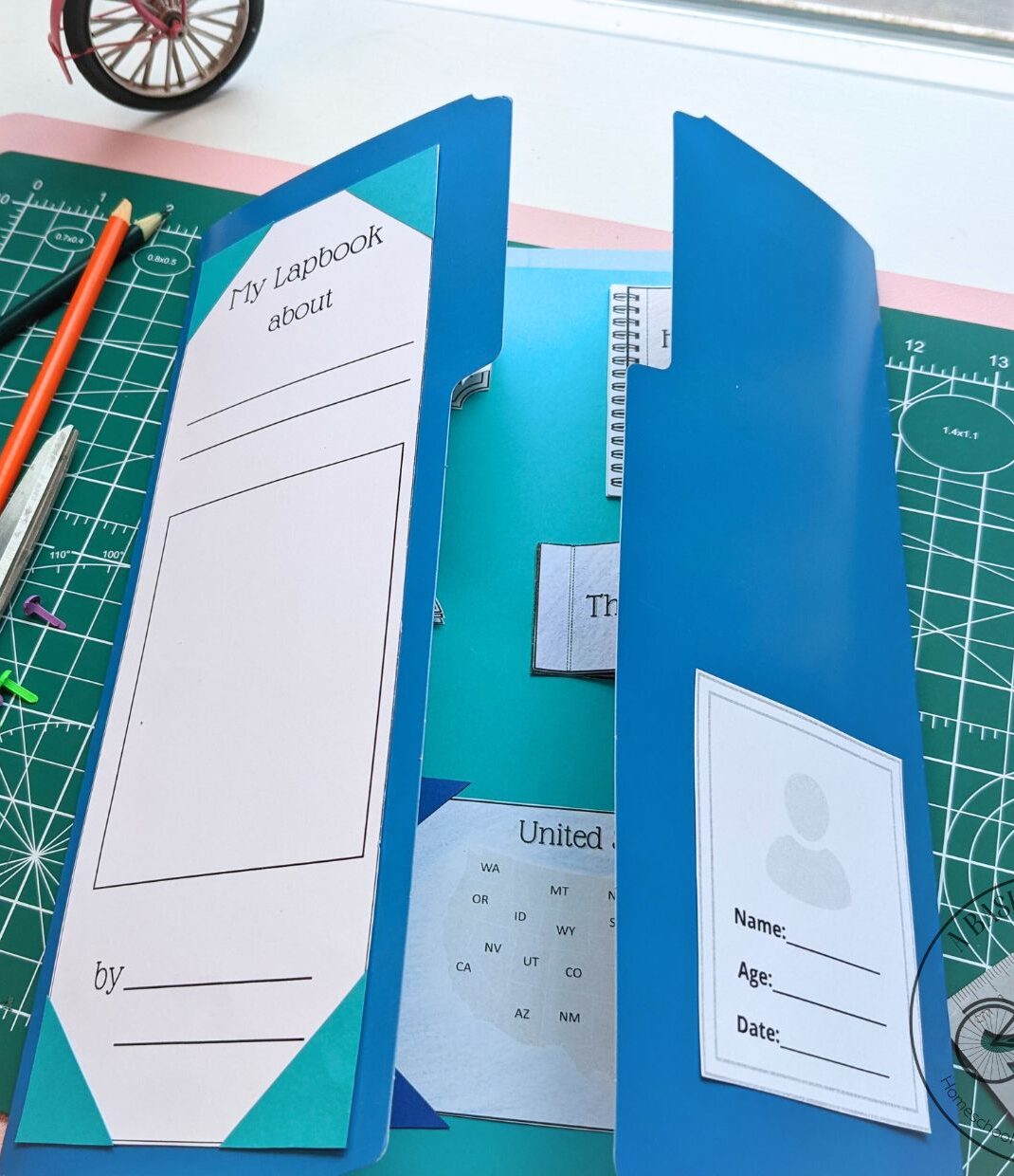 Novel-Themed Lapbook Kit