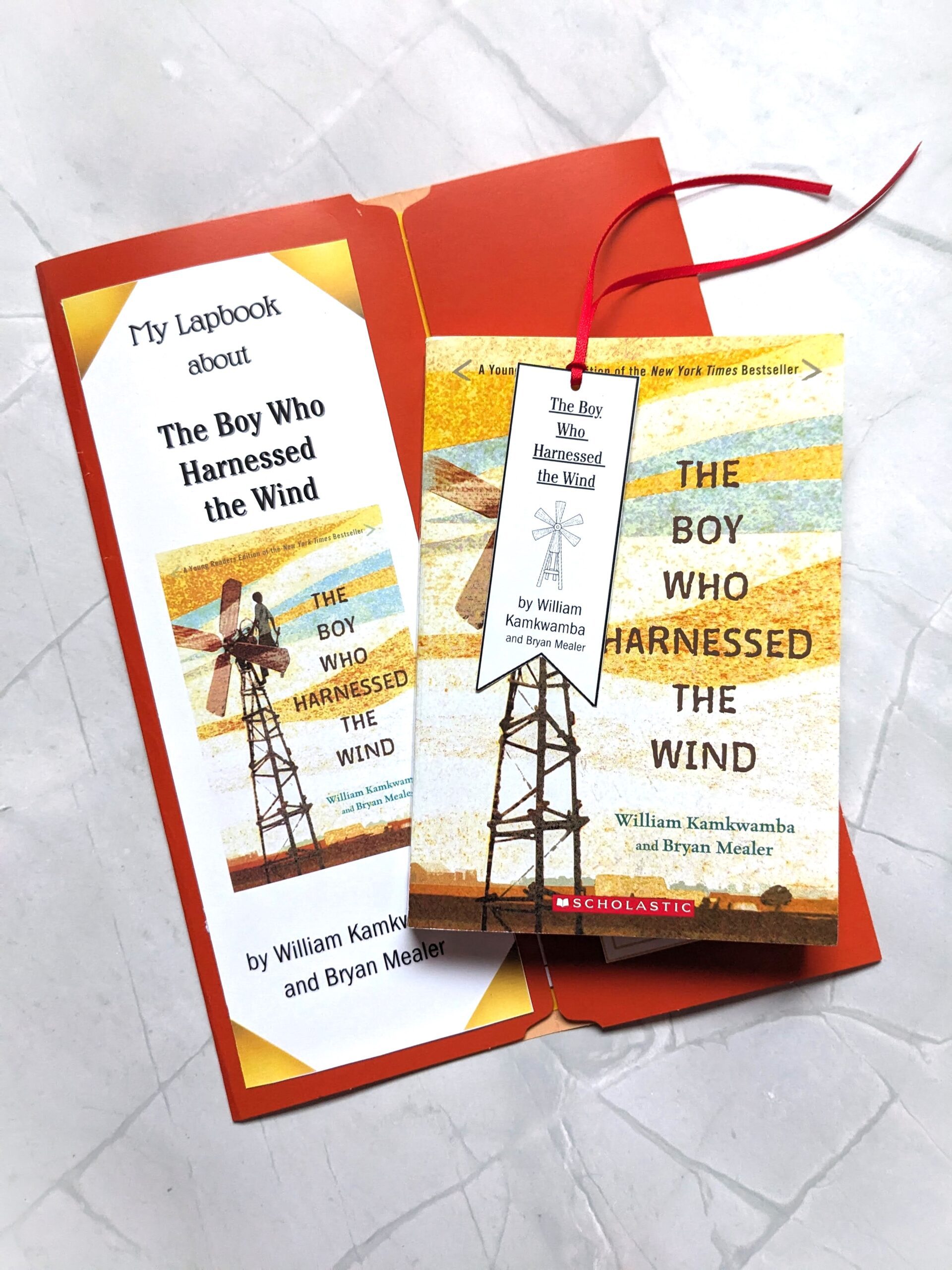 The Boy Who Harnessed the Wind Novel-Themed