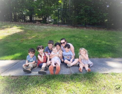 7 Favorite Field Trip Adventures