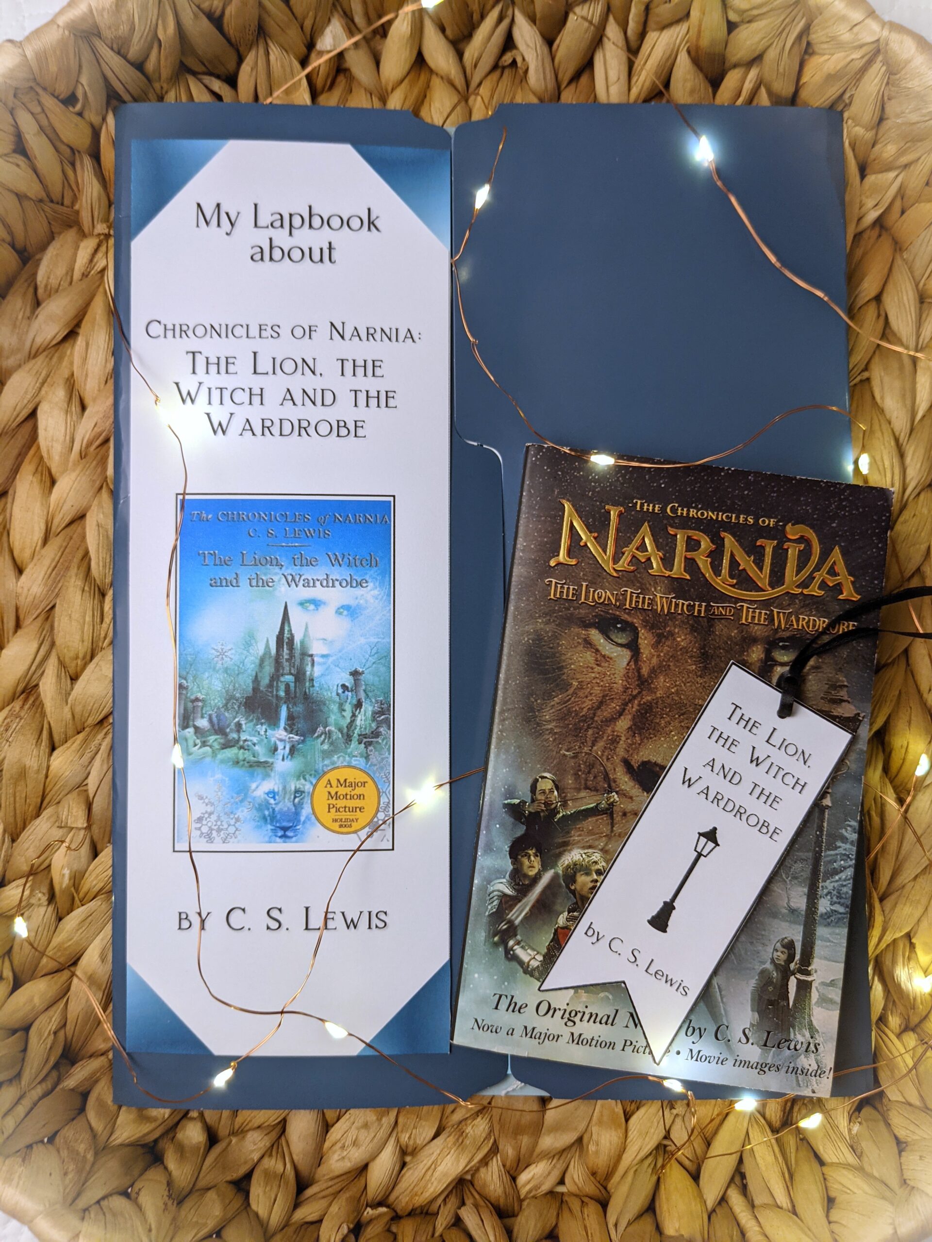 Narnia - The Lion The Witch and the Wardrobe