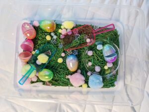 Sensory Bins (7)