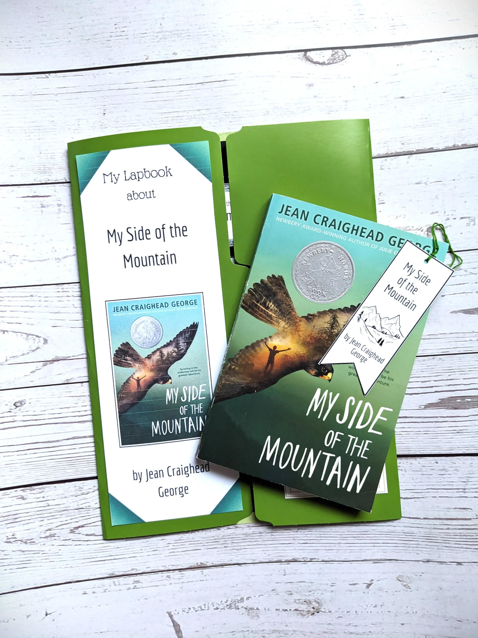 My-Side-of-the-Mountain lapbook cover