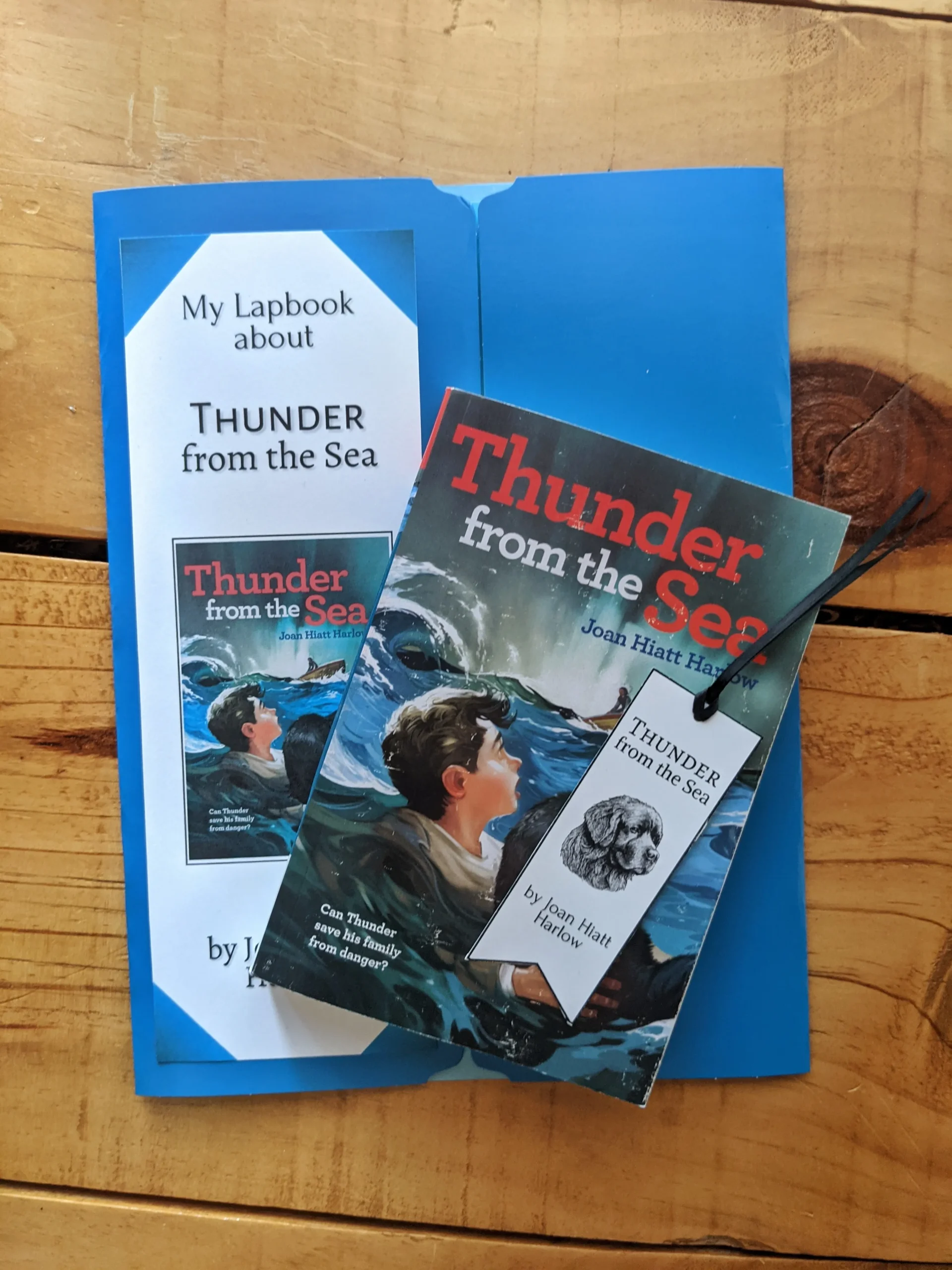 Thunder-from-the-Sea-lap-book-cover