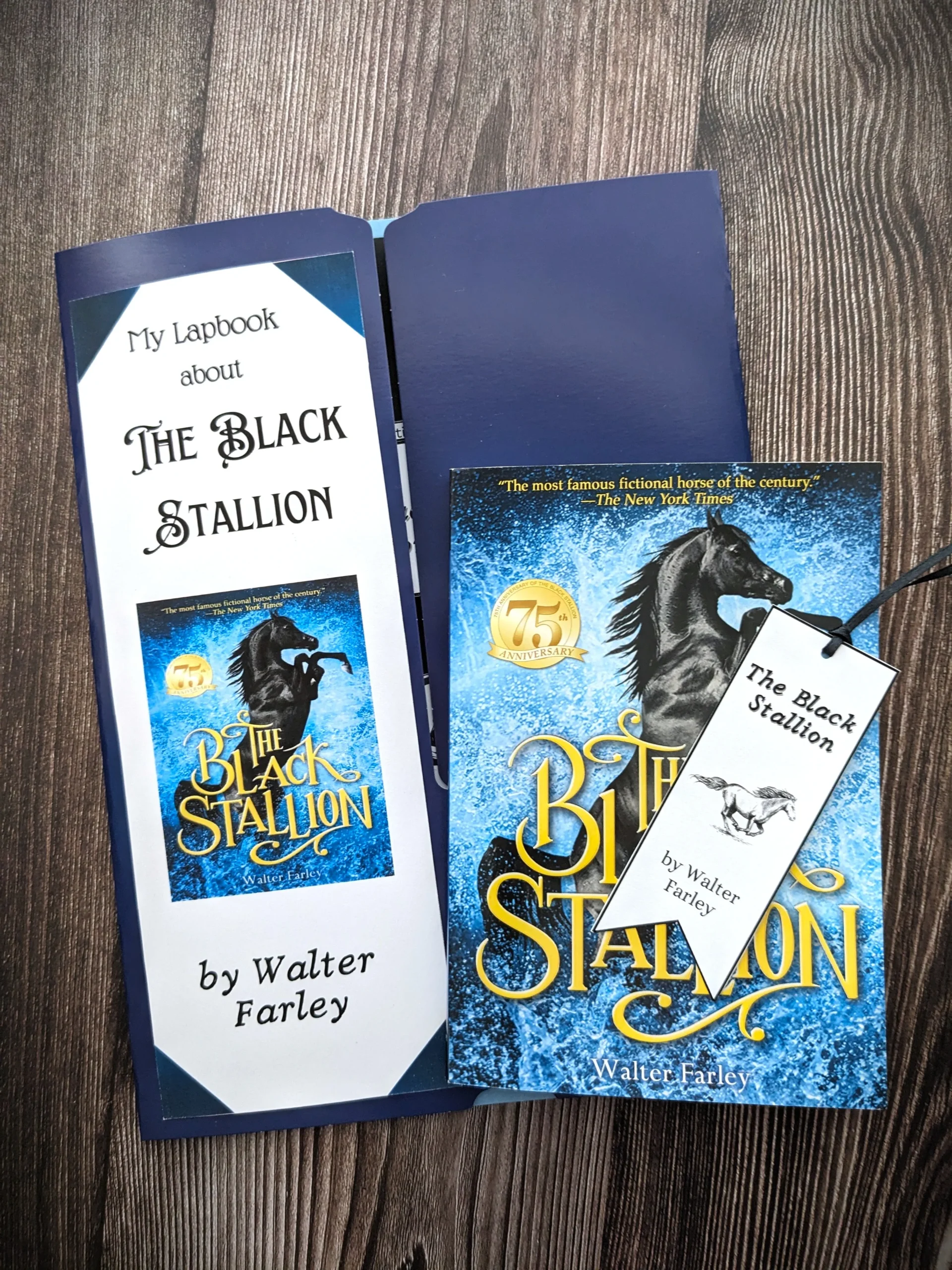 the black stallion lapbook cover