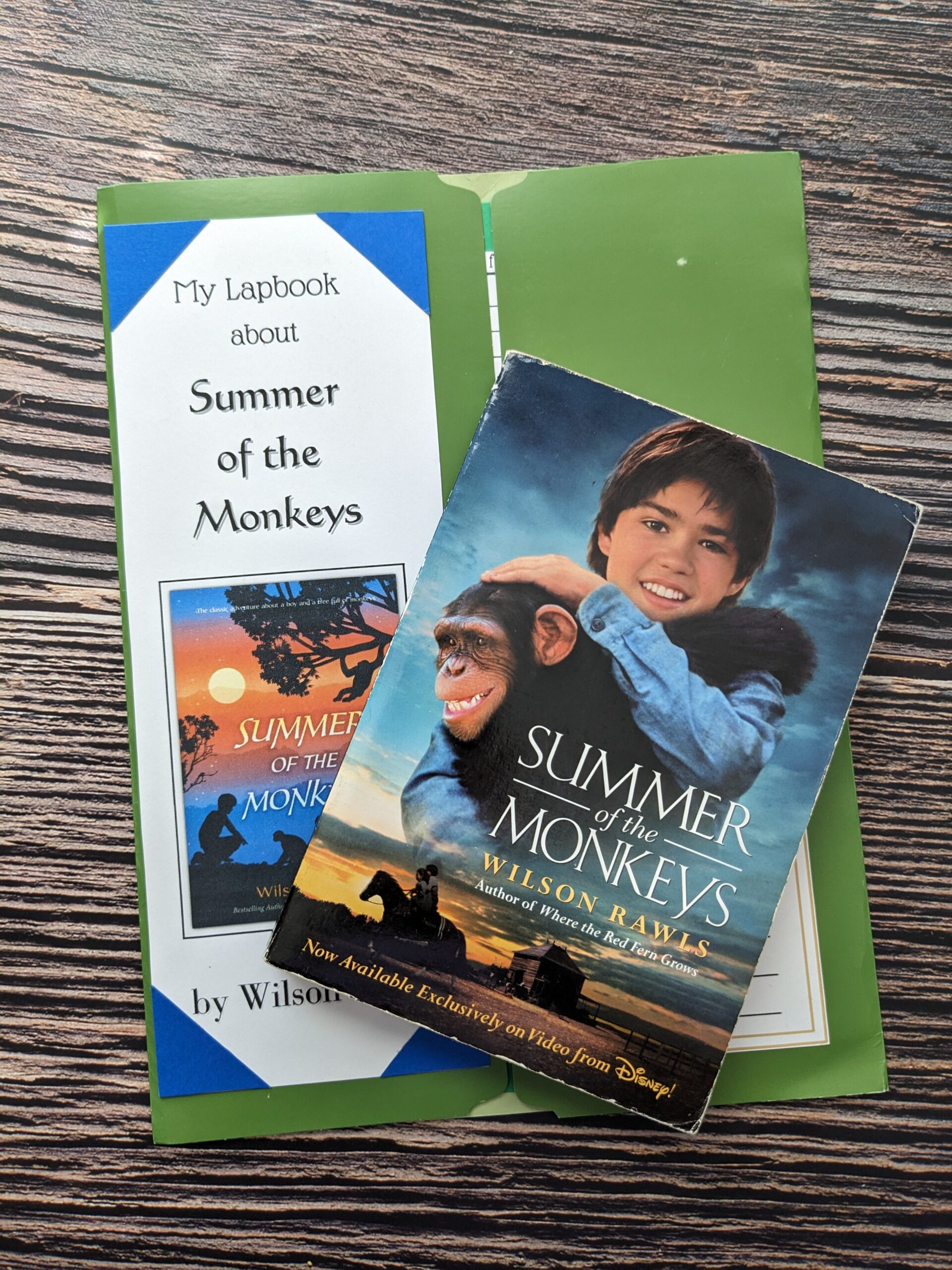 Summer of the Monkeys